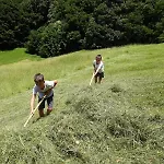 Haus Albrecht Agroturismo Schoppernau
