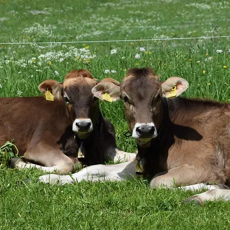 Farm stay Haus Albrecht *