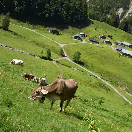 Haus Albrecht Farm stay *