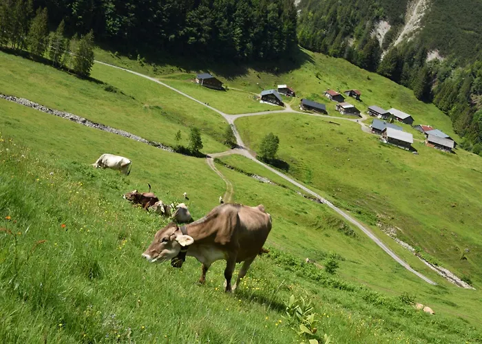 Haus Albrecht Çiftlik konaklama *